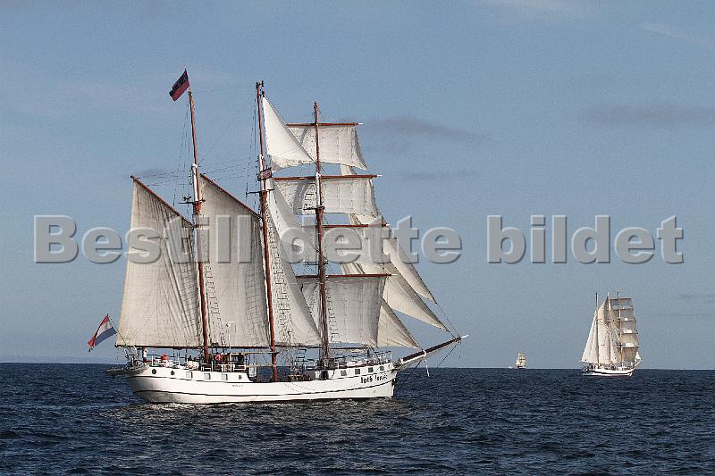 TSR2011_2 825.JPG